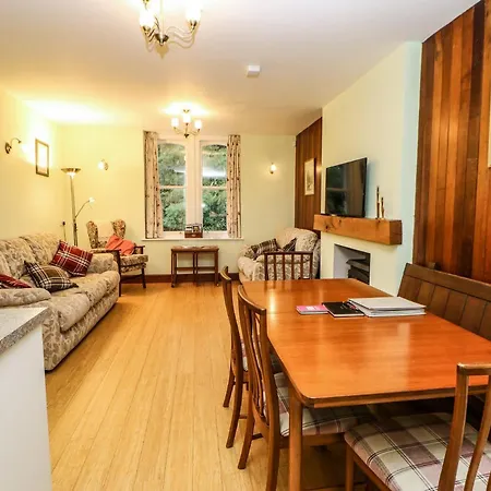 Holly * Appleby-in-Westmorland