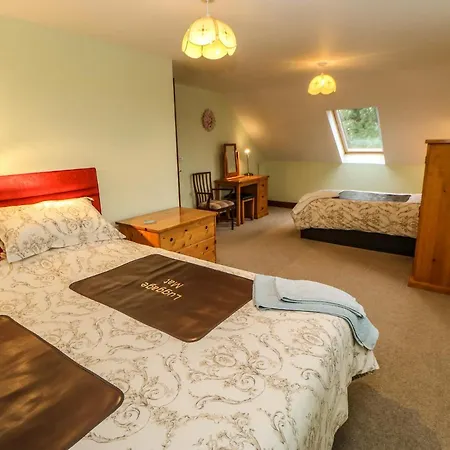 Holly * Appleby-in-Westmorland