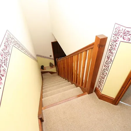 Holly * Appleby-in-Westmorland