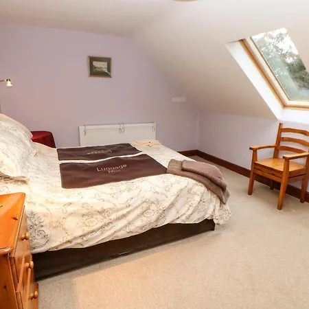 Holly * Appleby-in-Westmorland