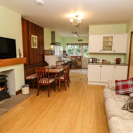 Holly * Appleby-in-Westmorland